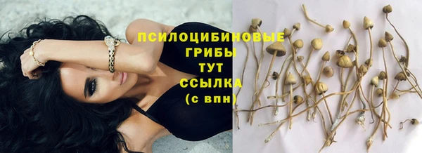 прущие крисы Костерёво