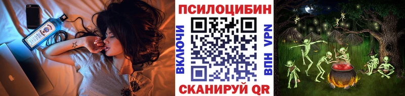Псилоцибиновые грибы Psilocybine cubensis  Купить где  Буй 